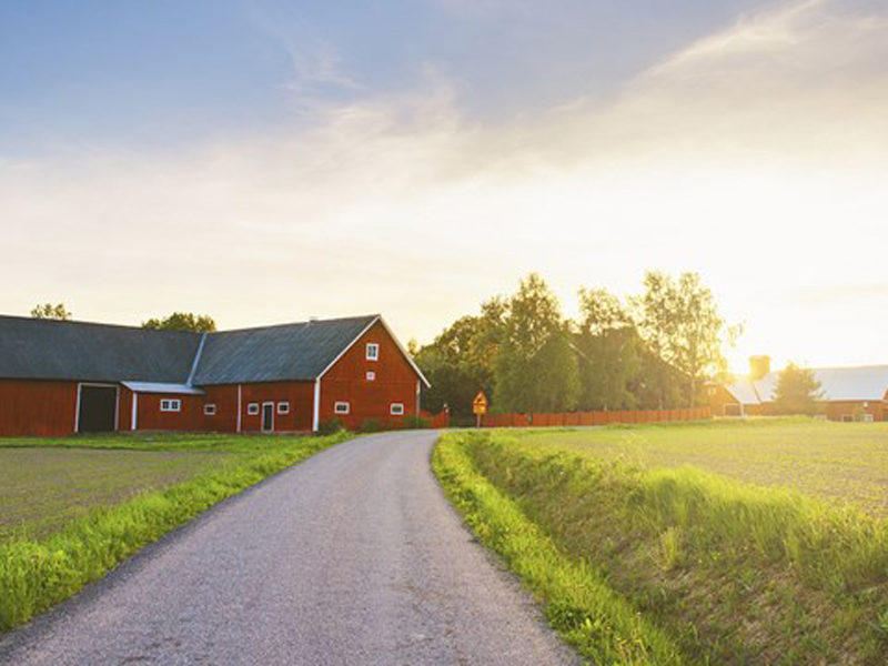 Svensk produktion och miljö i fokus i ny livsmedelsstrategi