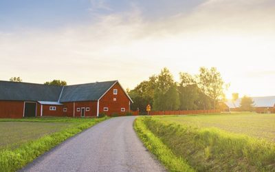 Västerbotten vill ha egen livsmedelsstrategi