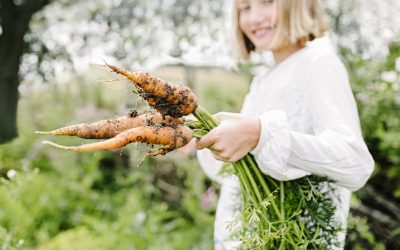 Ny utbildning kombinerar odling och gastronomi