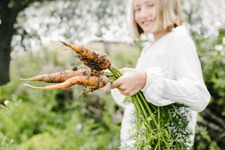 Ny utbildning kombinerar odling och gastronomi