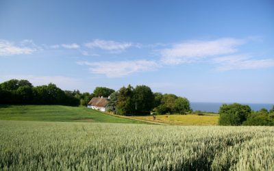 Skåne drar tillbaka nya definitionen av “närproducerat”