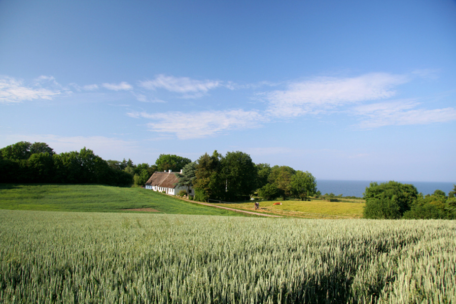 Skåne drar tillbaka nya definitionen av “närproducerat”