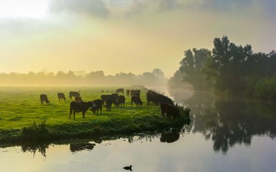 Kommuner tar täten i klimatarbetet