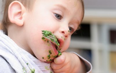 Veganstopp i förskolor upprör