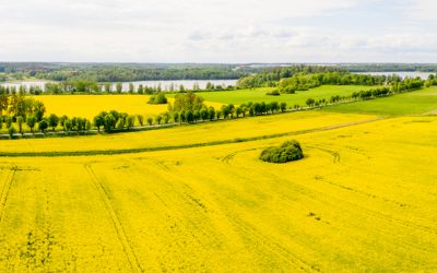 Svensk mat viktigast för svensken